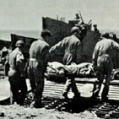 Evacuating wounded from Gela , Sicily.